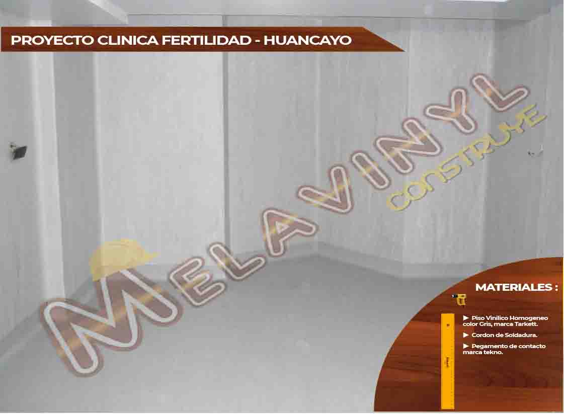 19-Proyecto Clinica Fertilidad - Huancayo - Piso Homogeneo - 2019