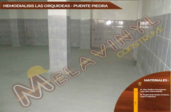 63-Proyecto Hemodialisis las orquidias - Puente Piedra - Pisos Homogeneos - 2019
